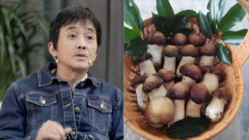 今期管家婆图库彩图,股票型ETF相继上市,精准解释落实及其象征意义_游戏版V12.87